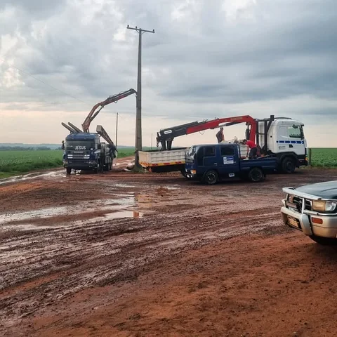 Dos camiones grúa y una camioneta en un predio rural con una columna